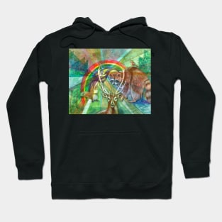 The Rainbow Cocoon Hoodie